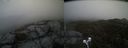 ./images/calvert/buxton2/20210501/buxton220210501_170503M.jpg