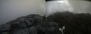 ./images/calvert/buxton2/20210502/buxton220210502_113503M.jpg
