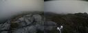 ./images/calvert/buxton2/20210502/buxton220210502_122003M.jpg