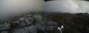 ./images/calvert/buxton2/20210502/buxton220210502_122503M.jpg