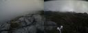 ./images/calvert/buxton2/20210502/buxton220210502_123503M.jpg