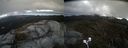 ./images/calvert/buxton2/20210502/buxton220210502_144503M.jpg