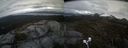 ./images/calvert/buxton2/20210502/buxton220210502_174003M.jpg