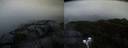 ./images/calvert/buxton2/20210503/buxton220210503_054503M.jpg
