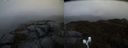 ./images/calvert/buxton2/20210503/buxton220210503_060503M.jpg