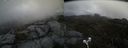 ./images/calvert/buxton2/20210503/buxton220210503_162003M.jpg