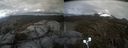 ./images/calvert/buxton2/20210503/buxton220210503_183503M.jpg
