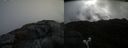 ./images/calvert/buxton2/20210504/buxton220210504_101503M.jpg