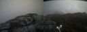 ./images/calvert/buxton2/20210504/buxton220210504_120003M.jpg