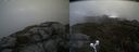 ./images/calvert/buxton2/20210504/buxton220210504_131003M.jpg