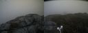 ./images/calvert/buxton2/20210504/buxton220210504_132003M.jpg