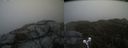 ./images/calvert/buxton2/20210504/buxton220210504_134504M.jpg
