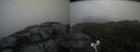 ./images/calvert/buxton2/20210504/buxton220210504_140503M.jpg