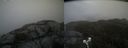 ./images/calvert/buxton2/20210504/buxton220210504_141003M.jpg