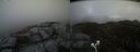 ./images/calvert/buxton2/20210504/buxton220210504_145003M.jpg