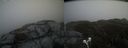 ./images/calvert/buxton2/20210504/buxton220210504_152003M.jpg