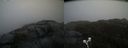 ./images/calvert/buxton2/20210506/buxton220210506_142003M.jpg