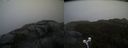 ./images/calvert/buxton2/20210506/buxton220210506_144503M.jpg