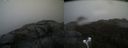 ./images/calvert/buxton2/20210506/buxton220210506_153503M.jpg