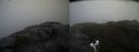./images/calvert/buxton2/20210506/buxton220210506_160503M.jpg