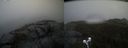 ./images/calvert/buxton2/20210506/buxton220210506_164003M.jpg