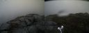 ./images/calvert/buxton2/20210506/buxton220210506_164503M.jpg