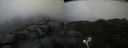 ./images/calvert/buxton2/20210506/buxton220210506_174503M.jpg