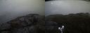 ./images/calvert/buxton2/20210506/buxton220210506_205503M.jpg