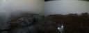 ./images/calvert/buxton2/20210506/buxton220210506_210503M.jpg