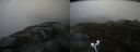 ./images/calvert/buxton2/20210507/buxton220210507_100003M.jpg