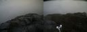 ./images/calvert/buxton2/20210507/buxton220210507_102502M.jpg
