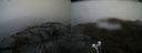 ./images/calvert/buxton2/20210507/buxton220210507_111503M.jpg