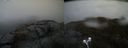 ./images/calvert/buxton2/20210507/buxton220210507_112003M.jpg