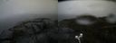 ./images/calvert/buxton2/20210507/buxton220210507_112503M.jpg