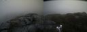 ./images/calvert/buxton2/20210507/buxton220210507_150503M.jpg