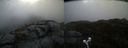 ./images/calvert/buxton2/20210507/buxton220210507_152003M.jpg