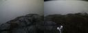 ./images/calvert/buxton2/20210507/buxton220210507_205003M.jpg