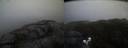 ./images/calvert/buxton2/20210507/buxton220210507_211003M.jpg