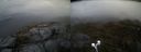./images/calvert/buxton2/20210508/buxton220210508_190503M.jpg