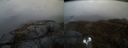 ./images/calvert/buxton2/20210508/buxton220210508_205003M.jpg