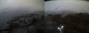 ./images/calvert/buxton2/20210508/buxton220210508_210503M.jpg