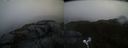 ./images/calvert/buxton2/20210509/buxton220210509_062503M.jpg