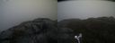 ./images/calvert/buxton2/20210509/buxton220210509_081003M.jpg