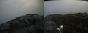./images/calvert/buxton2/20210509/buxton220210509_094503M.jpg