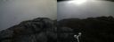 ./images/calvert/buxton2/20210509/buxton220210509_095503M.jpg