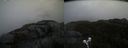./images/calvert/buxton2/20210509/buxton220210509_102503M.jpg