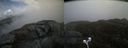 ./images/calvert/buxton2/20210509/buxton220210509_115003M.jpg