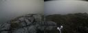 ./images/calvert/buxton2/20210509/buxton220210509_133503M.jpg