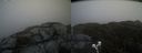 ./images/calvert/buxton2/20210509/buxton220210509_134003M.jpg