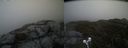 ./images/calvert/buxton2/20210509/buxton220210509_134503M.jpg